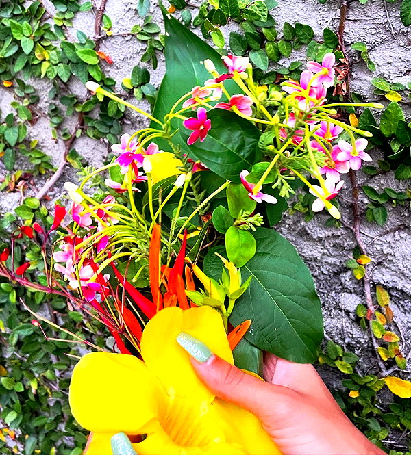 alenittta instagram image archive image