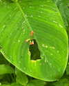 alenittta Altpins Profile Picture