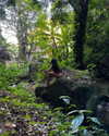 alenittta Altpins Profile Picture