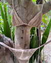 alenittta Altpins Profile Picture