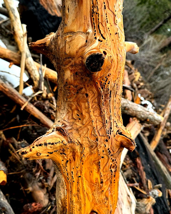 alenittta instagram image archive image