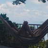 alenittta Altpins Profile Picture