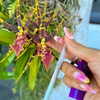 alenittta Altpins Profile Picture