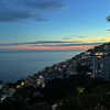 alenittta Altpins Profile Picture