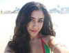 alenittta Altpins Profile Picture