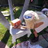 alenittta Altpins Profile Picture