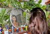 alenittta Altpins Profile Picture