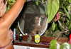 alenittta Altpins Profile Picture