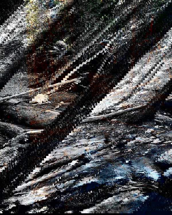 alexalizzz alexalizzz archive image