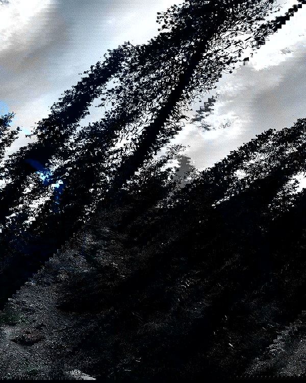 alexalizzz alexalizzz archive image