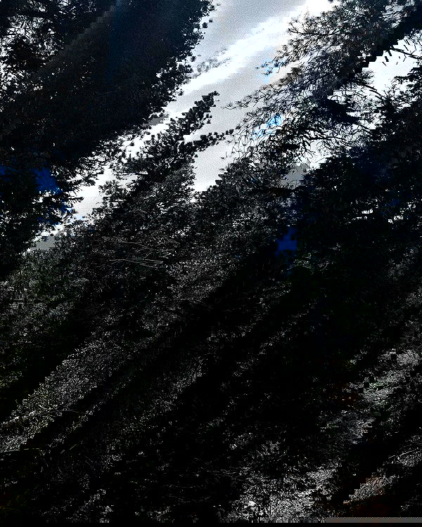 alexalizzz alexalizzz archive image