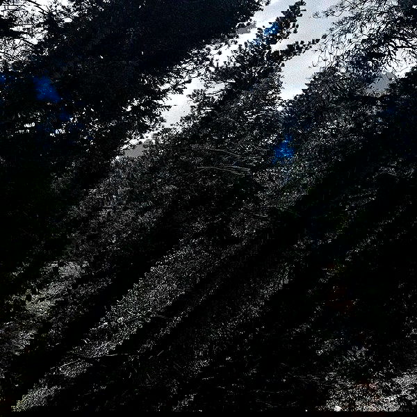 alexalizzz alexalizzz archive image