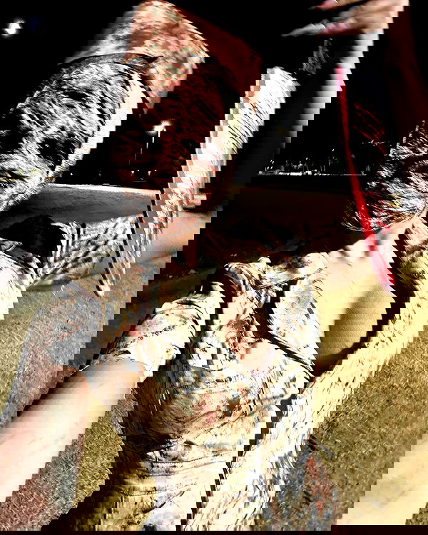 alexalizzz alexalizzz archive image