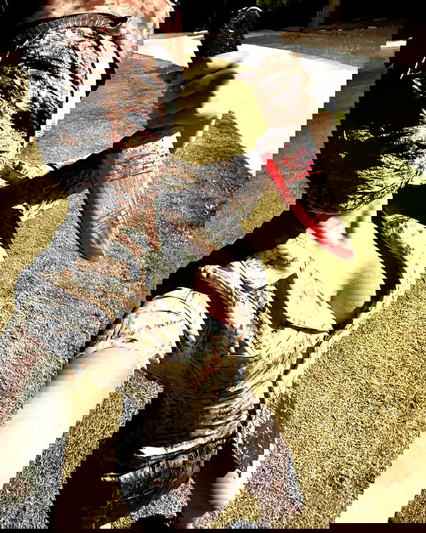 alexalizzz alexalizzz archive image