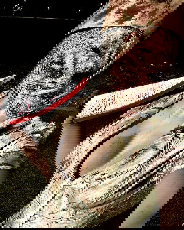 alexalizzz alexalizzz archive image