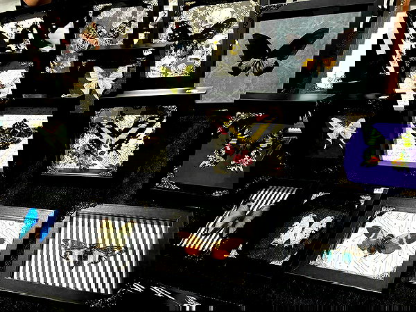 alexalizzz alexalizzz archive image