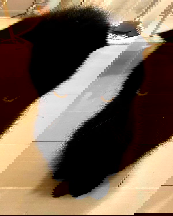 alexalizzz alexalizzz archive image