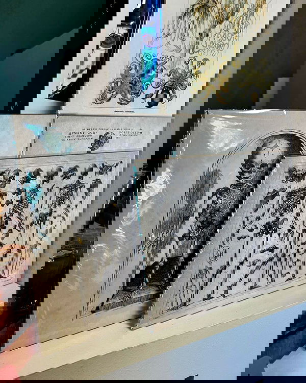 alexalizzz alexalizzz archive image