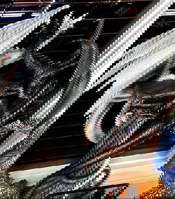 alexalizzz alexalizzz archive image