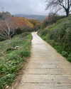 alexandra_stmtk Altpins Profile Picture