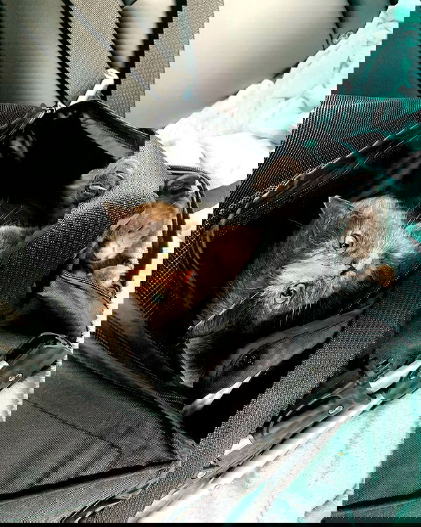 alexandramarianna alexandramarianna archive image