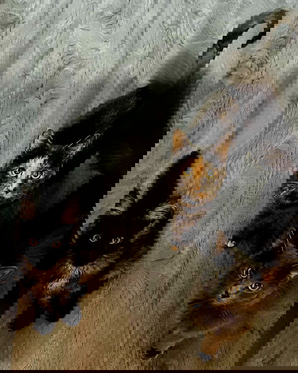 alexandramarianna alexandramarianna archive image