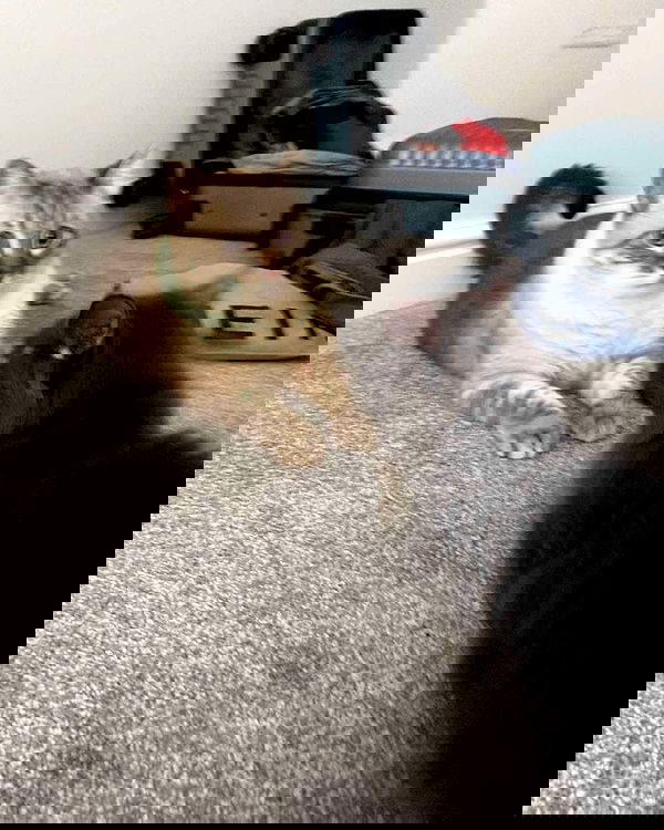 alexandramarianna alexandramarianna archive image