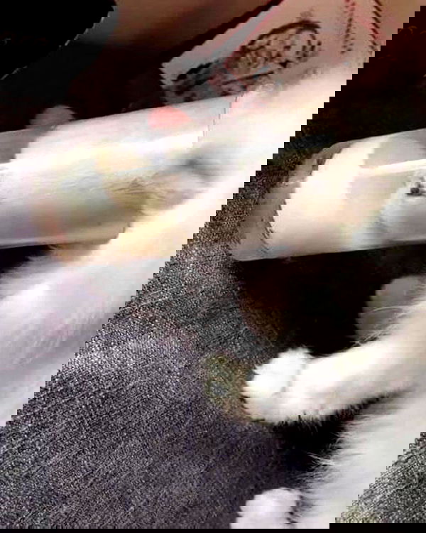 alexandramarianna alexandramarianna archive image