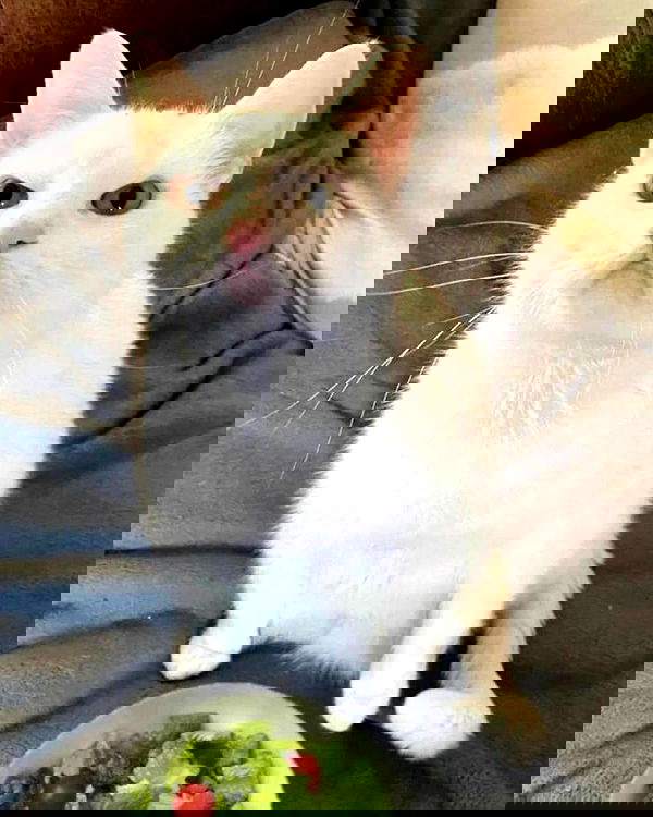 alexandramarianna alexandramarianna archive image