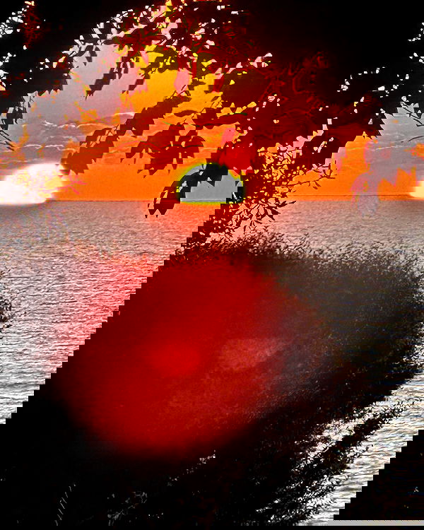 alexandramarianna alexandramarianna archive image