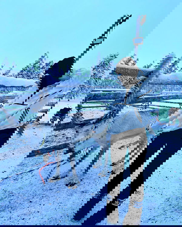 alexandramarianna alexandramarianna archive image