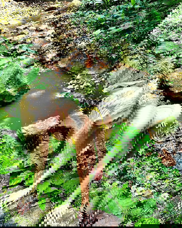 alexandramarianna alexandramarianna archive image