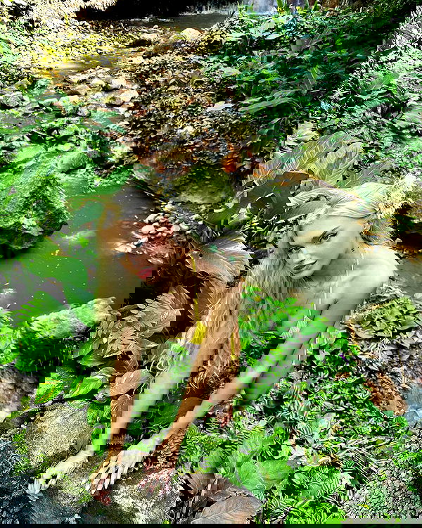 alexandramarianna alexandramarianna archive image