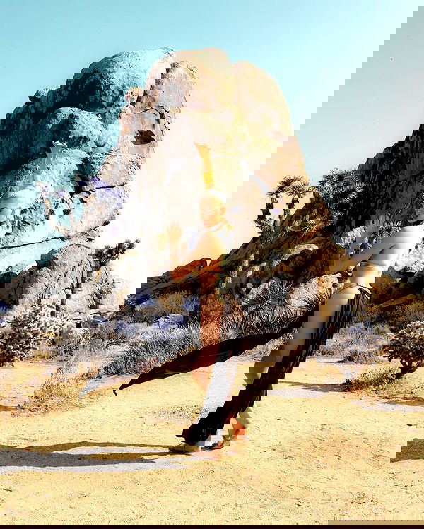 alexandramarianna alexandramarianna archive image