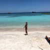 alexis.leth Altpins Profile Picture