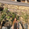alexis.leth Altpins Profile Picture