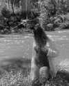alexis.leth Altpins Profile Picture
