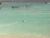 alexis.leth Altpins Profile Picture