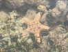 alexis.leth Altpins Profile Picture