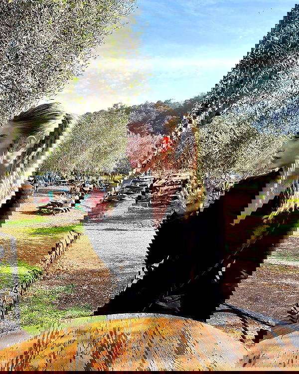 alice.skym alice.skym archive image