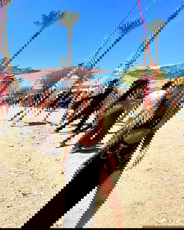 alice.skym alice.skym archive image