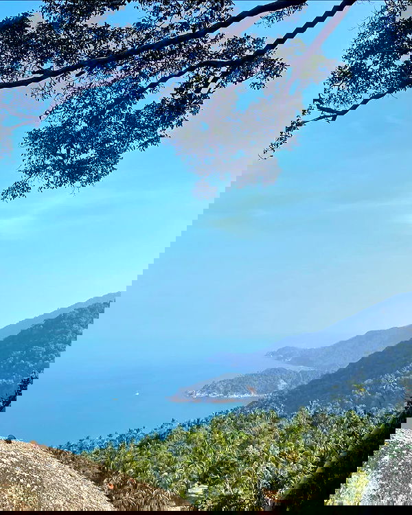 alice.skym alice.skym archive image