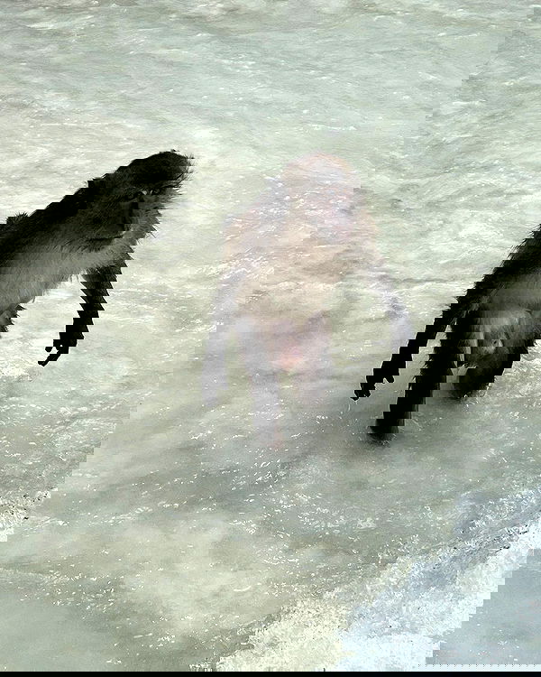 alice.skym alice.skym archive image