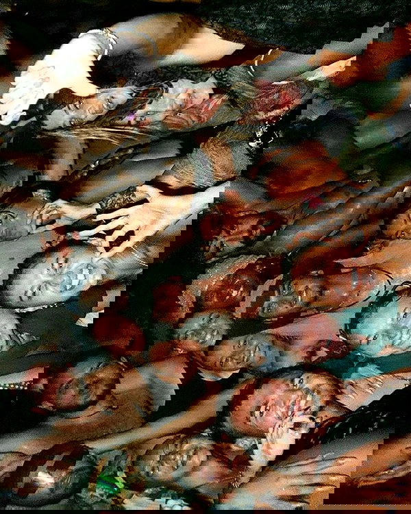 alice.skym alice.skym archive image