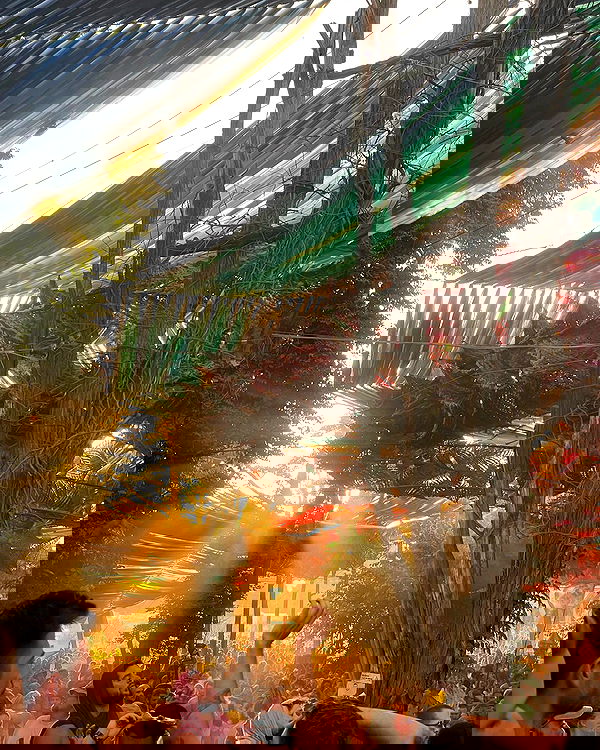 alice.skym alice.skym archive image