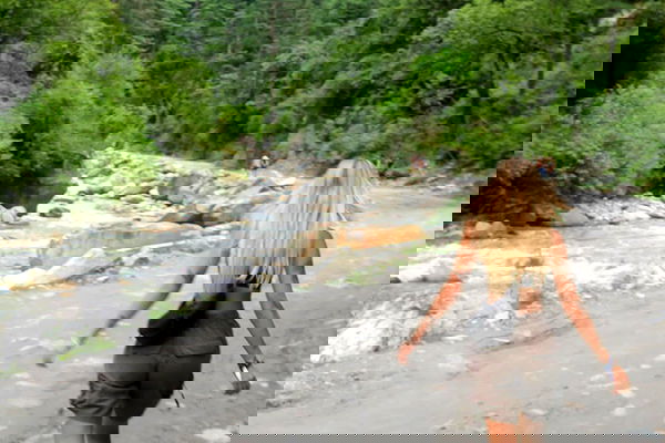 alice.skym alice.skym archive image