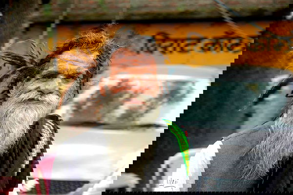 alice.skym alice.skym archive image