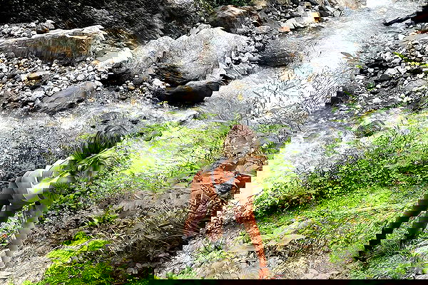 alice.skym alice.skym archive image