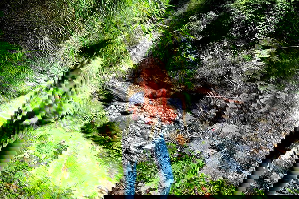 alice.skym alice.skym archive image