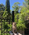 alice_delish Altpins Profile Picture